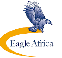 Dental Clinic Accepting Eagle Africa Isurance